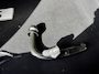 Dacia Sandero 0.9 TCe SL Stepway | Trekhaak | Cruise Control | Navigatie | Achteruitrijcamera |