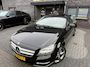 Mercedes-Benz CLS Shooting Brake 350 | 2E EIGENAAR | 3/6/12MND GARANTIE | LED | ACC | LUCHTVERING | SCHUIFDAK | LEDER | HARMAN KARDON | TREKHAAK |