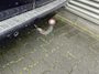 Mercedes-Benz Vito Lang 111 CDI prijs 12.750 ex