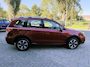 Subaru Forester 2.0i 150pk AWD CVT EyeSight Luxury | Trekh. | All Season | Spatbordverbreders | Panodak
