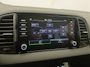 Skoda Karoq 1.5 TSI 150pk DSG/AUT Business Edition Winterpakket, Stoelverwarming, Climatronic