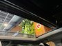 BMW X1 xDrive25e Pano schuif camera keyless