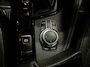 BMW X1 xDrive25e Pano schuif camera keyless