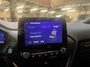 Ford Puma 1.0 Eco Hybrid Automaat ST-Line Vignale Full-Options Trekhaak Dealeronderhouden NL-Auto