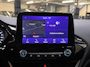 Ford Fiesta 125pk Eco Hybrid Titanium Navi Climat Cruise control Parkeersensoren Dealeronderhouden