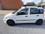 Fiat Panda 1.2 Edizione Cool
