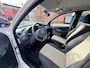 Fiat Panda 1.2 Edizione Cool