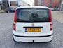 Fiat Panda 1.2 Edizione Cool