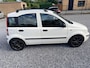 Fiat Panda 1.2 Edizione Cool