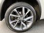 Skoda Kodiaq 1.5 TSI Sportline Business Camera/ PDC / Verw. Stuur & Stoelen / Afn Trekhaak / Carplay / Navi / 20 inch