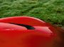 Ferrari 12Cilindri 6.5 V12 | Airbrushed shields | Full carbon | Rosso Magma