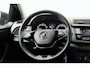 Skoda Fabia 1.0 TSI Ambition - N.A.P. Airco, Cruise, Carplay.