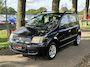 Fiat Panda 1.2 Young