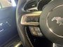 Ford Mustang Convertible 5.0 GT | KW | ASCH | Volledige Historie |