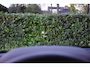 Audi Q5 Sportback 55 TFSI e S edition Competition SQ5 Stijl PANODAK|LUCHTVERING|MASSAGE|MEMORY|HEADUP|360CAMERA|CARPLAY