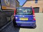 Fiat Panda 1.2 Edizione Cool