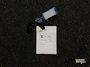 Mercedes-Benz B-klasse 200 CDI|LEDER|AUT|XENON|APK 8-2027