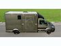 MAN TGE 3.180 Paardenwagen / Horsetruck / Veewagen