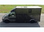 MAN TGE 3.180 Paardenwagen / Horsetruck / Veewagen