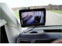 MAN TGE 3.180 Paardenwagen / Horsetruck / Veewagen