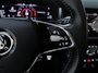 Skoda Kodiaq 1.5 TSI DSG Business Edition Plus 7p. Panoramadak Alcantara Camera App-Connect DAB+
