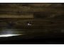 Audi A5 Cabriolet 40 TFSI|S-Line|RS-seats|HUD|Massage|ACC|Camera