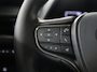 Lexus UX 250h AWD Executive Line | President Pack | Schuifdak | Trekhaak |
