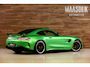 Mercedes-Benz AMG-GT 4.0 R|Ceramic|TrackPack|Racing Seats|Carbon|