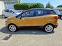 Ford EcoSport 1.0 Titanium RADIO-DAB/AIRCO/CLIMATE/CRUISE/NAVI/PDC/AUR.CAMERA/LMV/ELEC.RAMEN+SPIEGELS