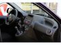 Fiat Panda 1.2 Edizione Cool