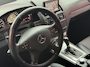 Mercedes-Benz C-klasse Estate 220 CDI BlueEFFICIENCY Business Class Avantgarde Zo Mee | Lees Tekst | Read Text