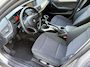 BMW X1 sDrive18i Executive / NAVI / CRUISE / ALPINE / TREKHAAK / YOUNGTIMER / 174dkm! NAP!