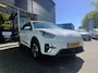 Kia Niro EV e-Niro DynamicLine 64 kWh / SOH 98% / Warmtepomp