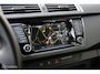 Skoda Fabia 1.0 TSI Business Edition cruise control Apple carplay