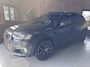 Audi Q7 3.0 TDI e-tron PANODAK/TREKHAAK/