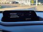 Mazda CX-30 2.0 e-SkyActiv-X M Hybrid Luxury | Leder, ACC, Carplay/Android, Camera, Bose, Trekhaak | Dealeronderhouden | NAP |