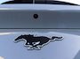 Ford Mustang Mach-E Standard RWD 73 kWh | Automaat | Pano dak | Adapt. Cruise control | BLIS | B&O audio | 360 graden camera | Parkeersensoren voor en achter | Elektr. achterklep | Fabrieksgarantie |