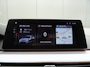 BMW 5-Serie 530i xDrive High Executive * LEER * SFEER * GOED ONDERH. !!