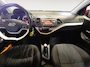 Kia Picanto 1.0 DynamicLine 5 Zitplaatsen | Dealer onderhouden | Climate control & cruise control | Bluetooth | Lichtmetalen velgen | Metallic lak | Bovag garantie | NAP
