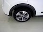 Kia Niro EV e-Niro DynamicLine 64 kWh