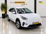 Kia Niro EV e-Niro DynamicLine 64 kWh