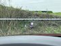 Mazda CX-60 2.5 e-SkyActiv PHEV Takumi | Trekhaak | Pano | Stoelverwarming-ventilatie