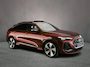 Audi Q5 Sportback 2.0 TFSI e-hybrid quattro S edition Competition | Luchtvering | Panoramadak | Trekhaak | Leder | 360 camera | Ambient Lichtpakket | MMI Passagiersdisplay