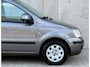 Fiat Panda 1.2 Edizione Cool 2011 Grijs AIRCO|NAP|APK