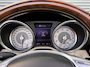 Mercedes-Benz SLK 250 CarbonLOOK Edition