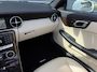 Mercedes-Benz SLK 250 CarbonLOOK Edition