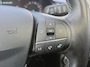 Ford Fiesta 1.0 EcoBoost Titanium | Panoramadak | B&O Sound | Winter Pack | Achteruitrijcamera | 12 maanden garantie! |