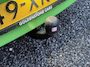 SEAT Ibiza 1.2 TSI Style ✓1e Eigenaar✓Airco✓Cruise✓Trekhaak✓105pk✓5 Deurs✓Lm velgen 16''✓N.A.P✓Apk tot 07-2027