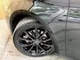 SEAT Leon 1.0 eTSI FR Business Intense Achteruitrijcamera | Apple CarPlay/Android Auto | Adaptieve cruise control | Climate control | DAB ontvanger | Keyless entry | Panoramadak | Voorstoelen en stuurwiel verwarmd | Trekhaak uitklapbaar