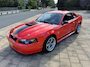 Ford Mustang mach 1 Mach 1 40th anniversary Ex auto van Alice Cooper